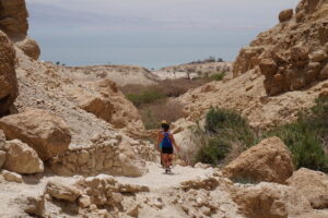 The hike down from the falls eventually leads to the Dead Sea.