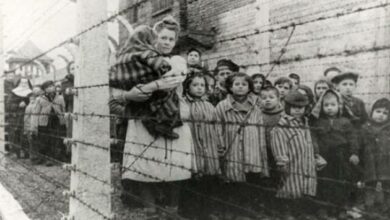 babies auschwitz holocaust