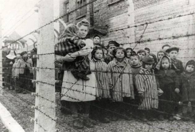 babies auschwitz holocaust