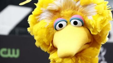 big bird