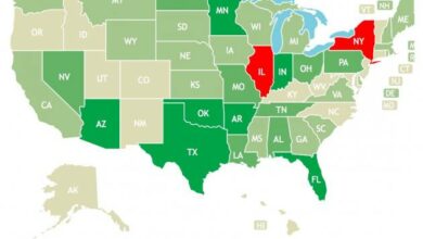 pro-life states