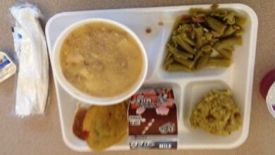 school lunch