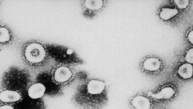 coronavirus US