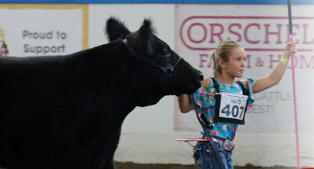 state fair