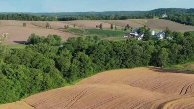 missouri farmland china