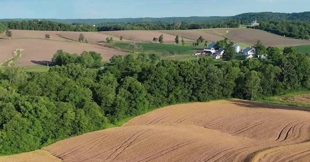 missouri farmland china