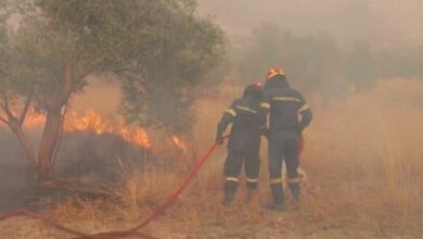 greece wildfires