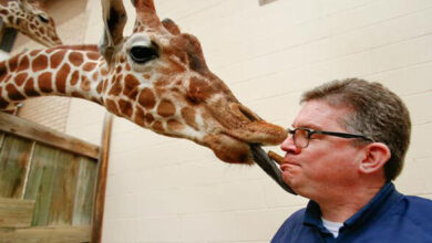 Brendan Wiley at Topeka Zoo