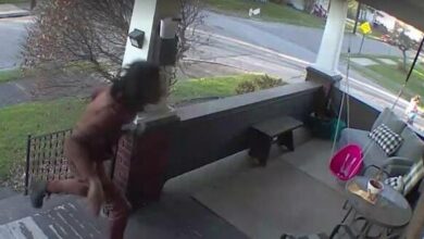 porch pirates