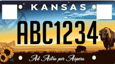 state license plate