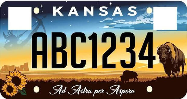 state license plate