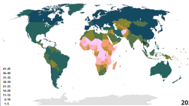 fertility rates