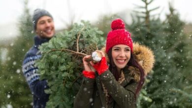 christmas trees